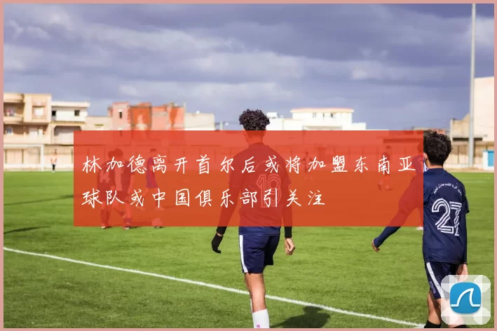 林加德离开首尔后或将加盟东南亚球队或中国俱乐部引关注