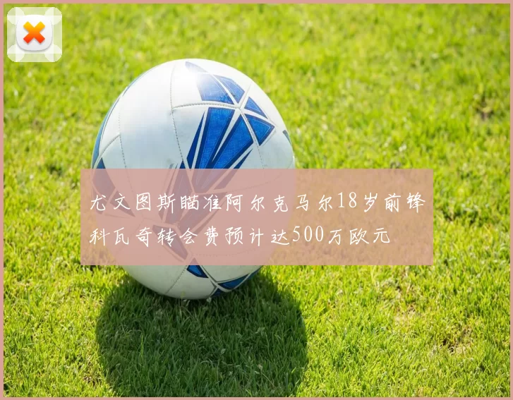 尤文图斯瞄准阿尔克马尔18岁前锋科瓦奇转会费预计达500万欧元