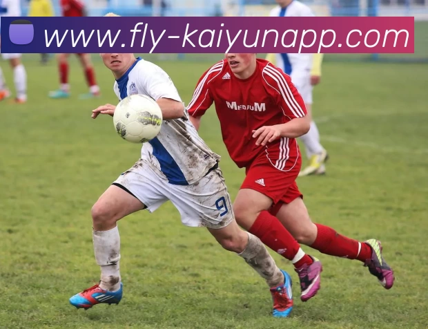 开云体育全站App